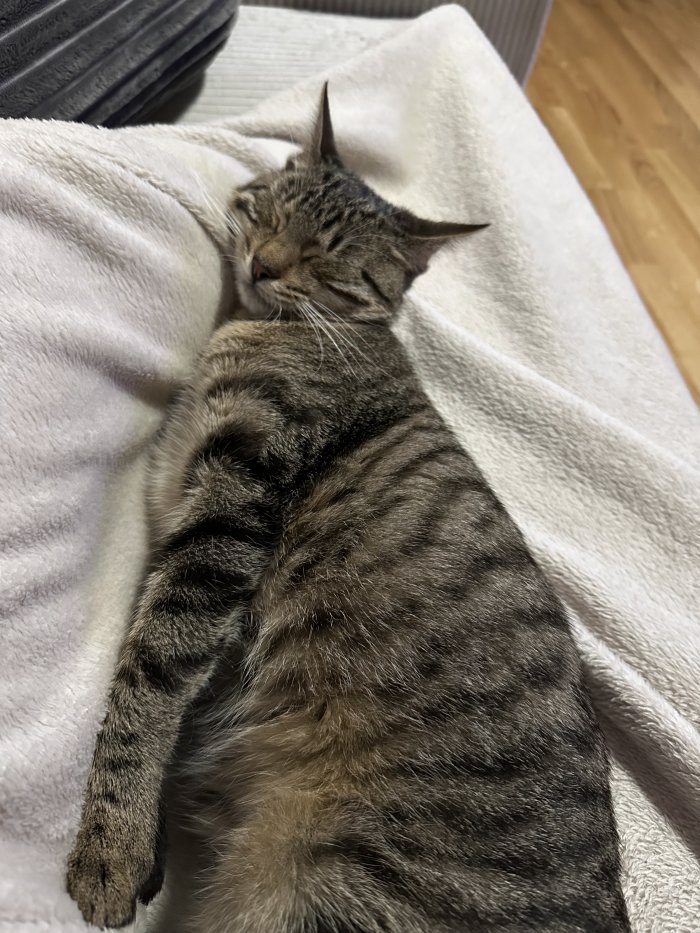 Unbekannt 260324-134607