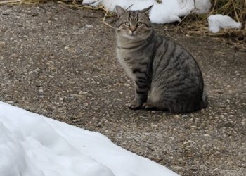 Unbekannt 260325-085934