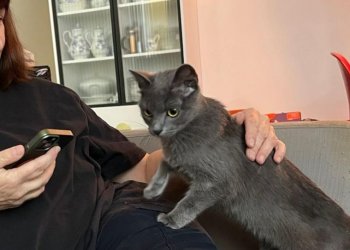 Unbekannt 260330-232520