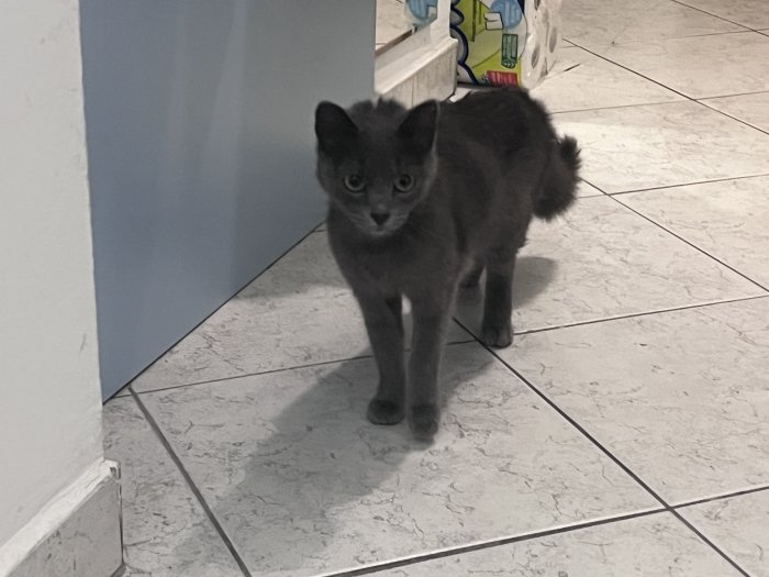 Unbekannt 260330-232520