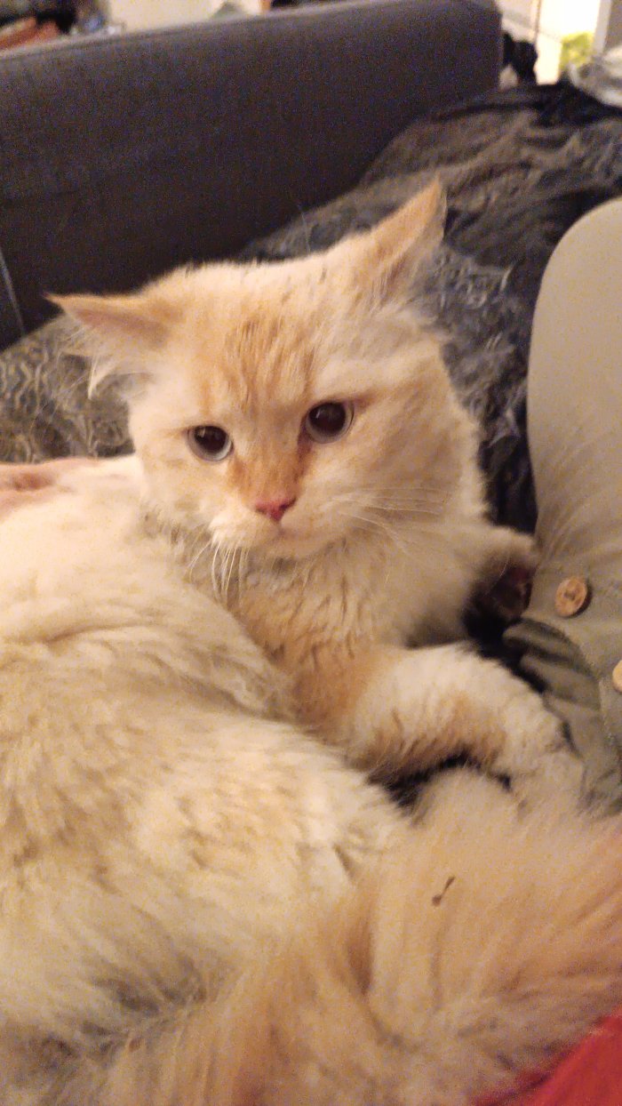 Unbekannt 260404-054200