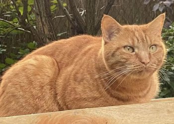 Unbekannt 260411-125012