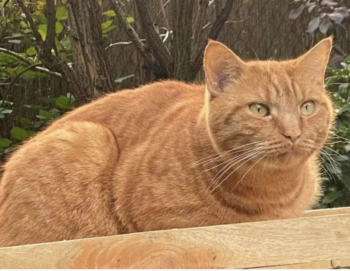 Unbekannt 260411-125012