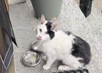 Unbekannt 260412-102854