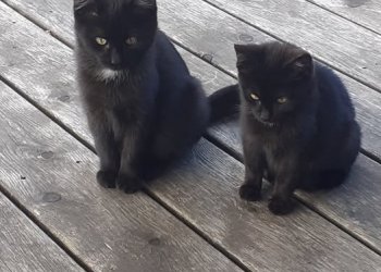 Unbekannt 251104-112508