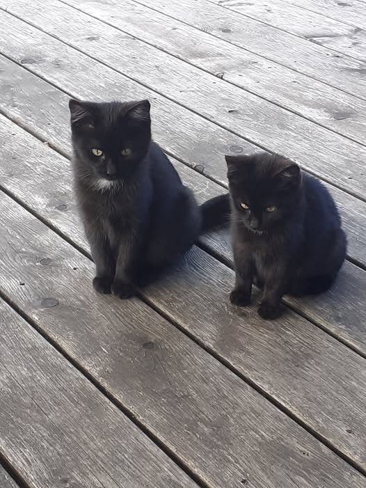 Unbekannt 251104-112508