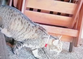 Unbekannt 251105-164718