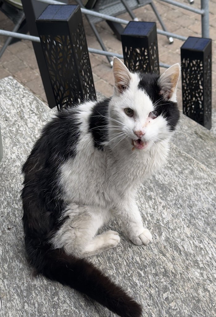 Unbekannt 260412-102854