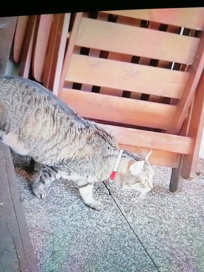 Unbekannt 251105-164718