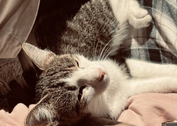 Unbekannt 251110-125508