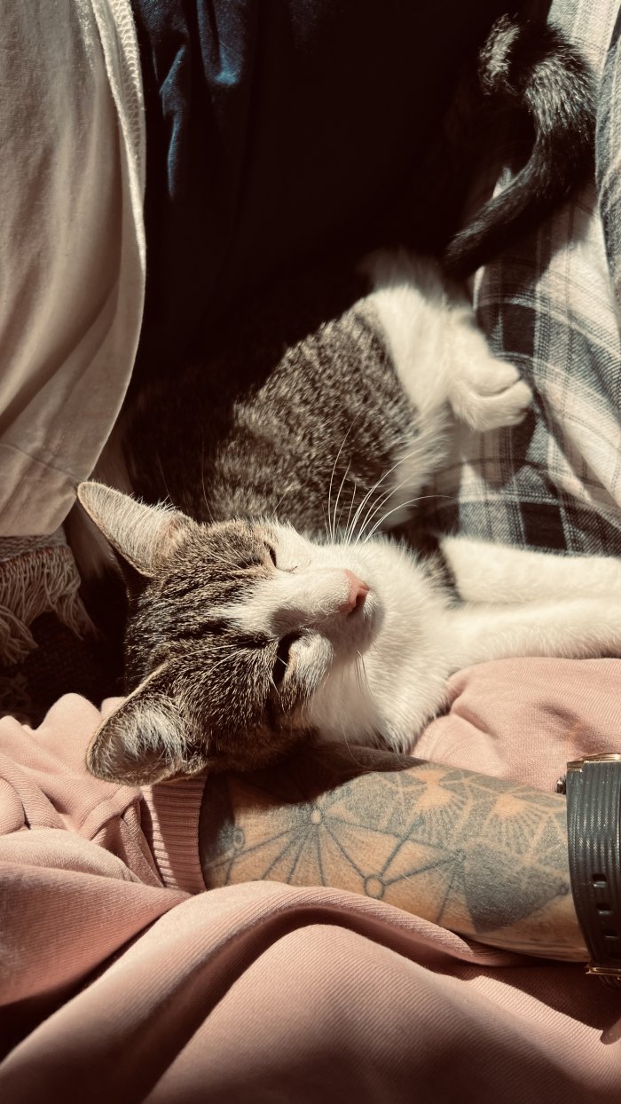 Unbekannt 251110-125508