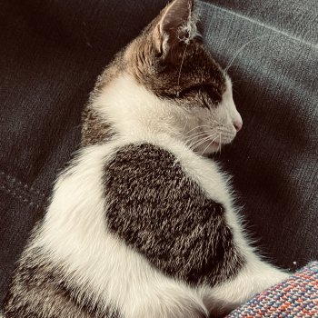 Unbekannt 251110-125508