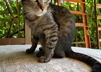 Unbekannt 251110-183030