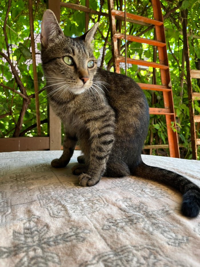 Unbekannt 251110-183030