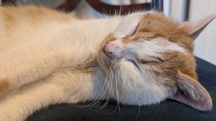 Unbekannt 251111-105927