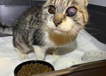 Unbekannt 251112-155100