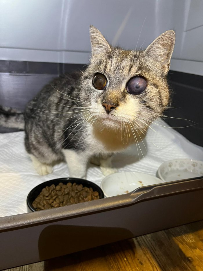 Unbekannt 251112-155100