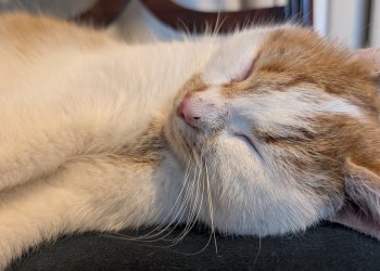 Unbekannt 251111-110422