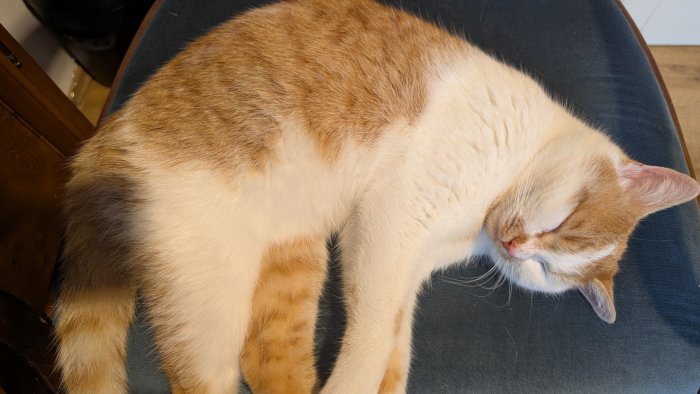 Unbekannt 251111-110422