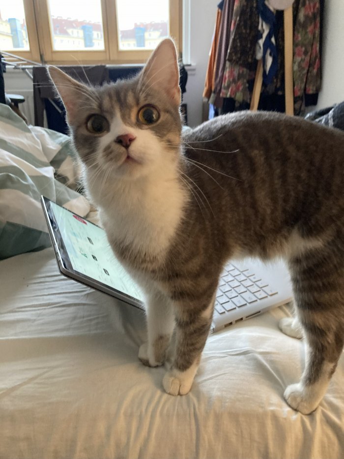 Unbekannt 251114-103030