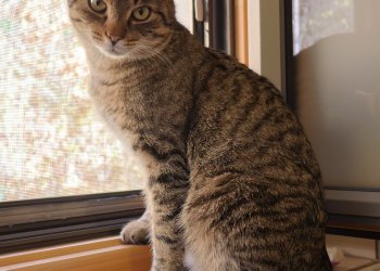 Unbekannt 251110-160935