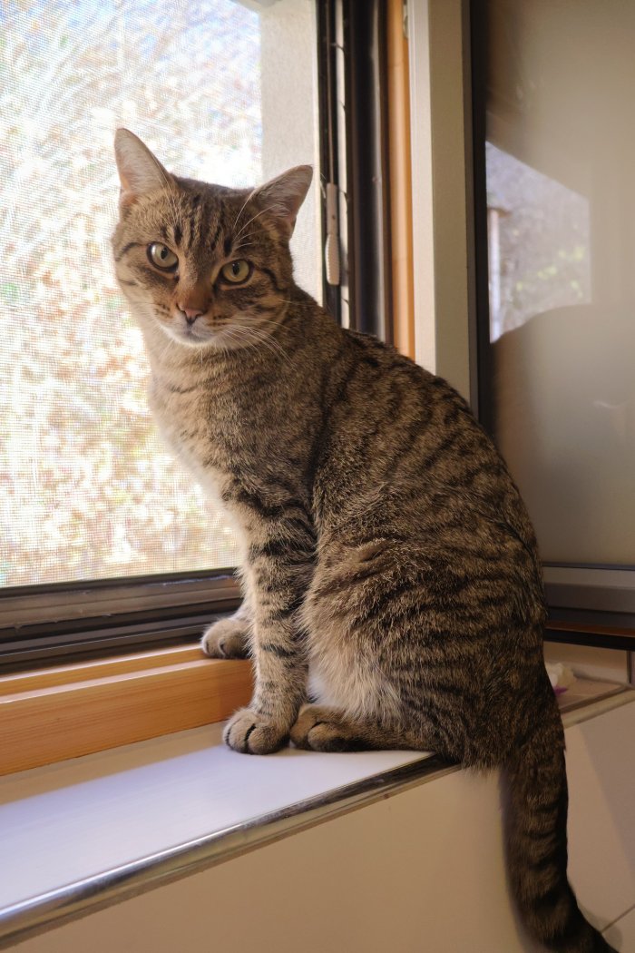 Unbekannt 251110-160935