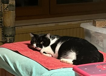 Unbekannt 251105-215450