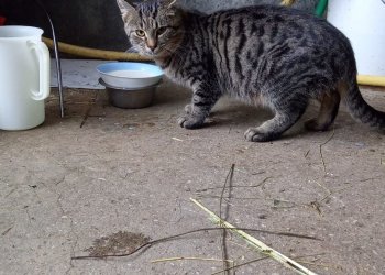 Unbekannt 251126-202835