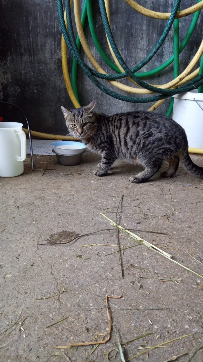 Unbekannt 251126-202835