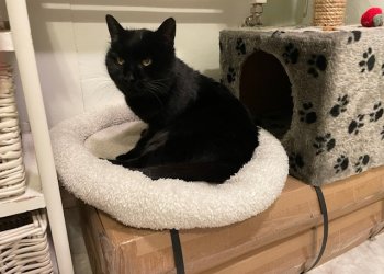 Unbekannt 251230-155510