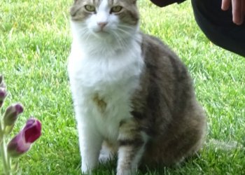 Unbekannt 260101-160844