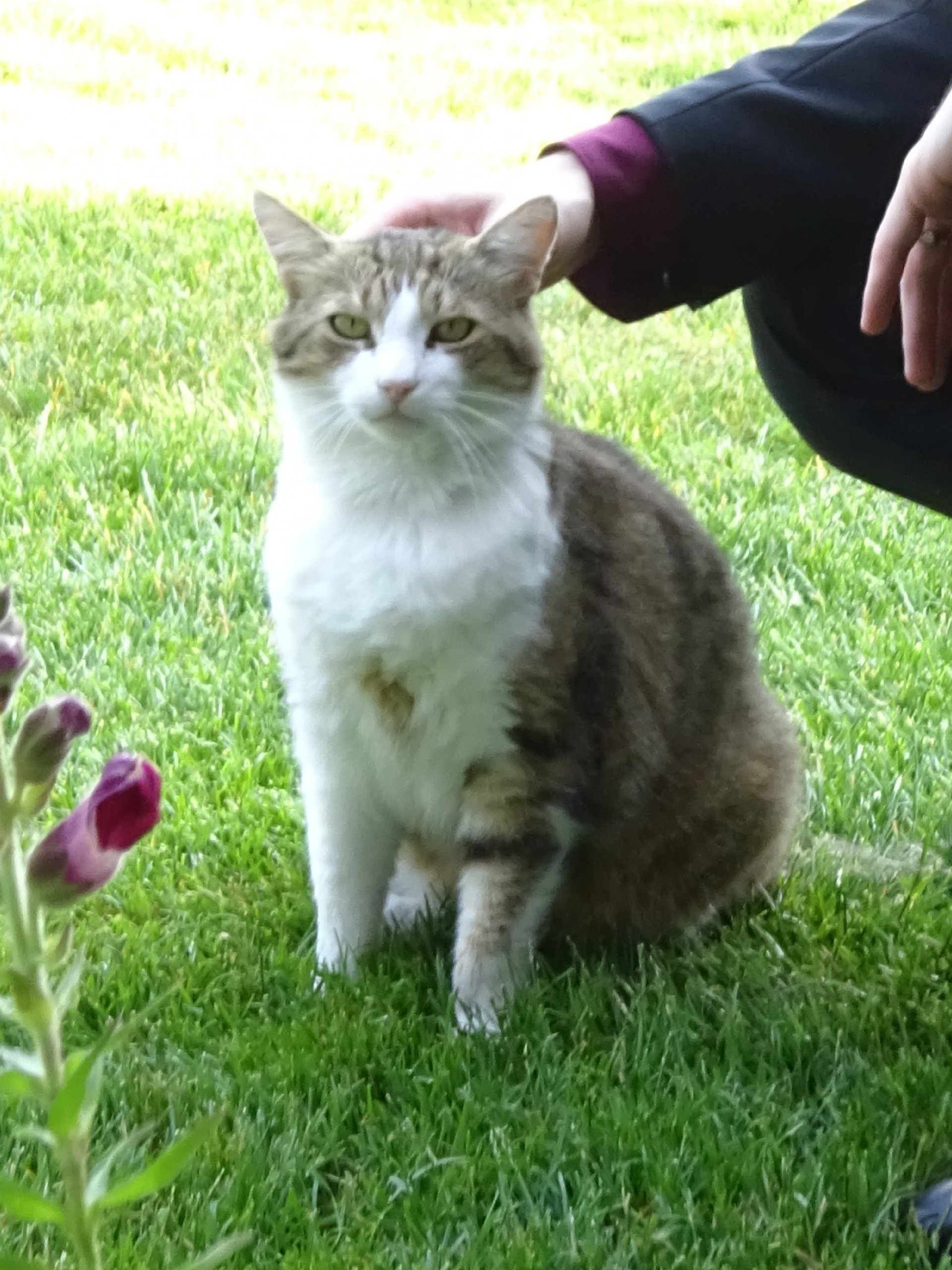 Unbekannt 260101-160844