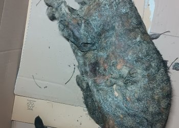 Unbekannt 260108-112830