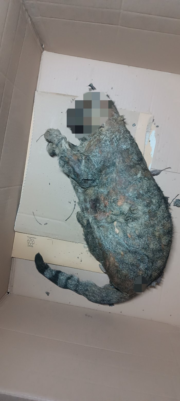 Unbekannt 260108-112830