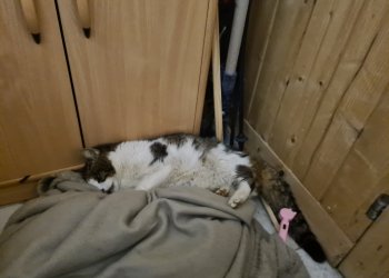 Unbekannt 260112-162530