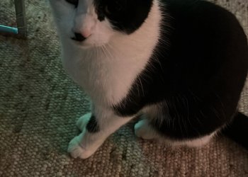 Unbekannt 260115-143536