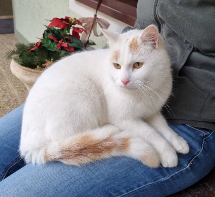 Unbekannt 260117-120626