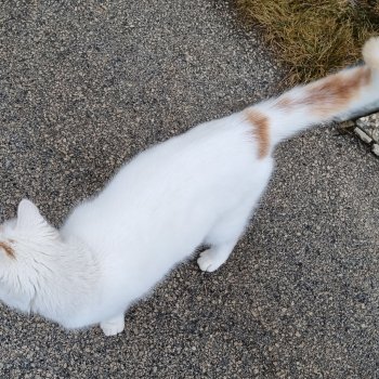 Unbekannt 260117-120626