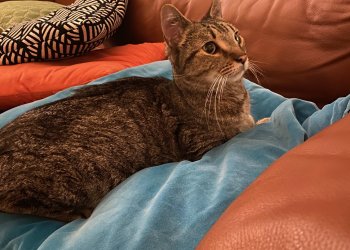 Unbekannt 260113-180633