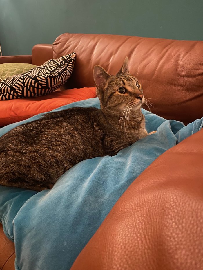 Unbekannt 260113-180633