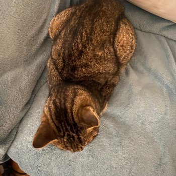 Unbekannt 260113-180633