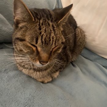 Unbekannt 260113-180633