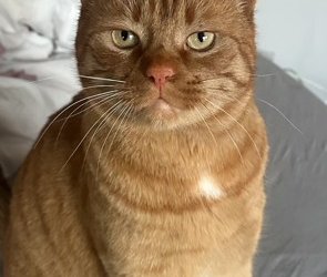 Unbekannt 260121-123410