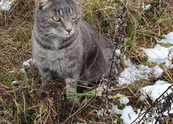 Unbekannt 260122-172253