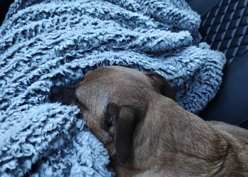 Unbekannt 260128-222217