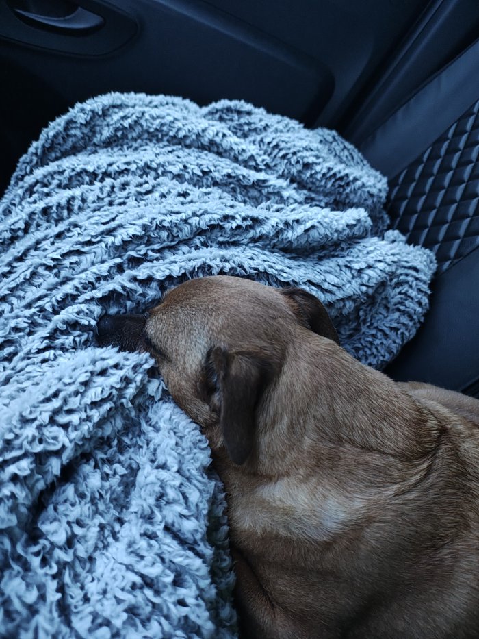 Unbekannt 260128-222217