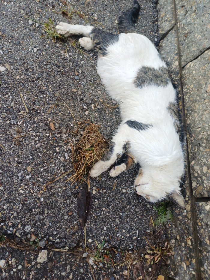 Unbekannt 260130-123421