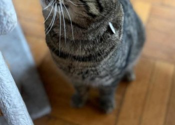 Unbekannt 260202-124025