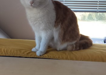 Unbekannt 260210-145644