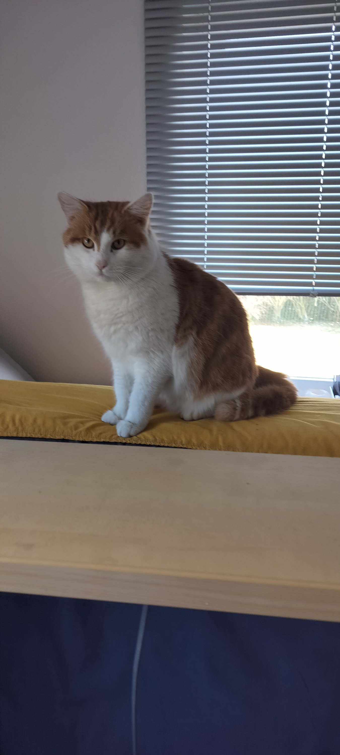 Unbekannt 260210-145644